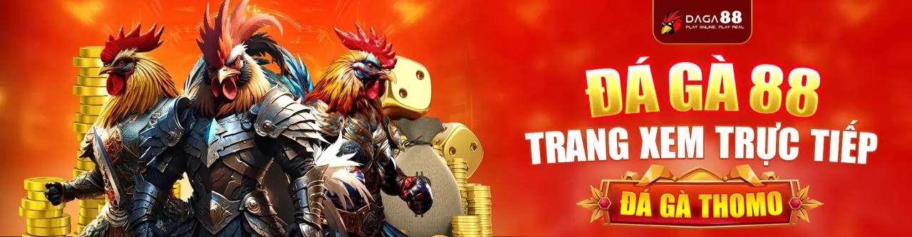 Sân đấu đá gà kịch tính tại v999