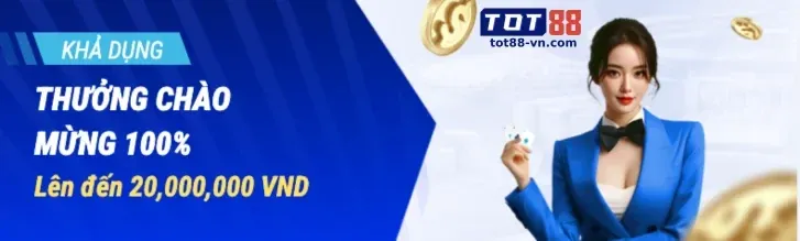 Lịch sử hình thành và phát triển của v999
